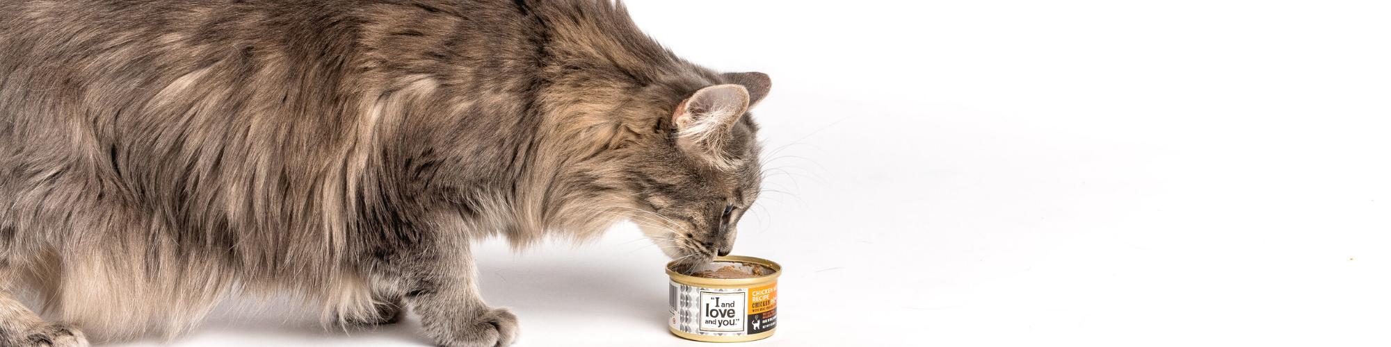 Food to help cat lose weight hot sale