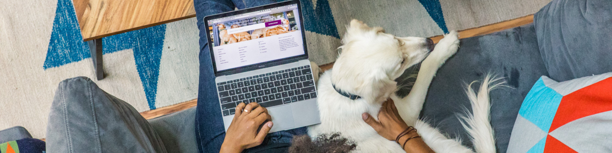 A person is sitting on a couch with an open laptop on their lap, browsing a website, while petting a white dog that is lying next to them. The scene includes a colorful pillow and a coffee table with a wooden surface.