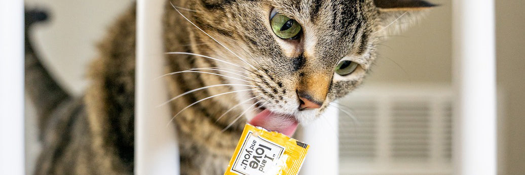 Why We Love Treat Meow Squeeze & Thank You Cat Tube Treats