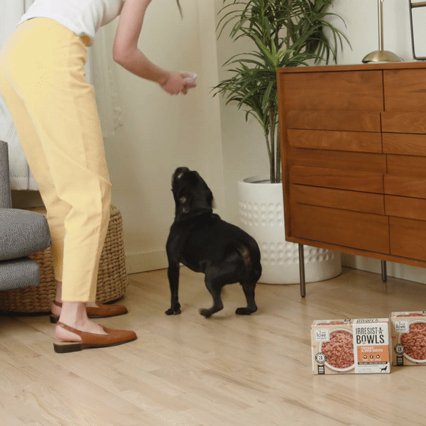 Droolworthy food for your pets