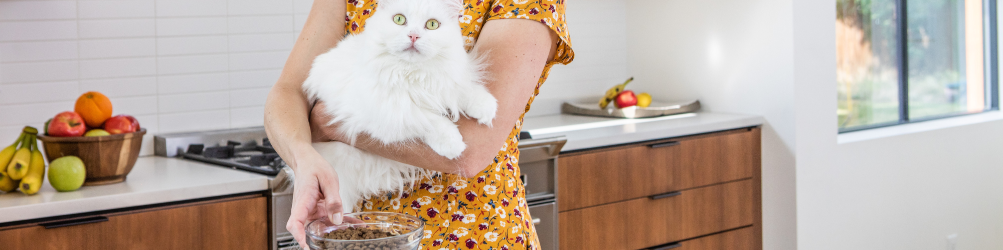 A person in a yellow floral dress holds a fluffy white cat in a modern kitchen. The person is holding a bowl of dry cat food. The kitchen counter has a bowl of fruit and the room is well-lit with natural light from a nearby window.