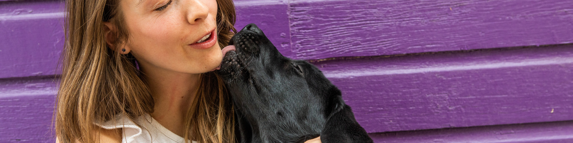 A woman with long hair smiles as she is licked by a small black dog. The woman is wearing a white shirt, and they are both in front of a purple wooden wall.