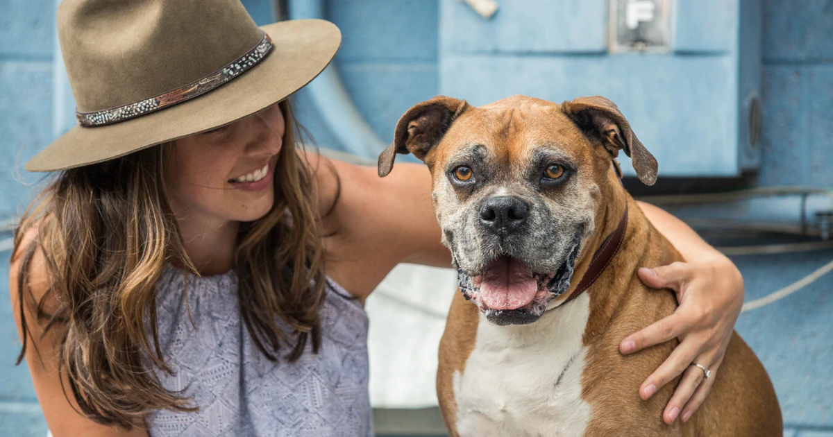 NEW 'DIG' DATING APP HELPS DOG LOVERS CONNECT AND FIND PUP-APPROVED LOVE