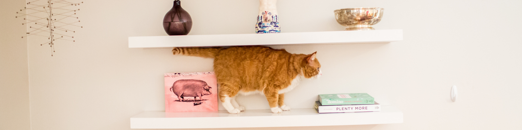 A ginger cat stands on a white floating shelf between various decorative items, including a vase, a bowl, and some books. The shelf is mounted on a plain white wall.