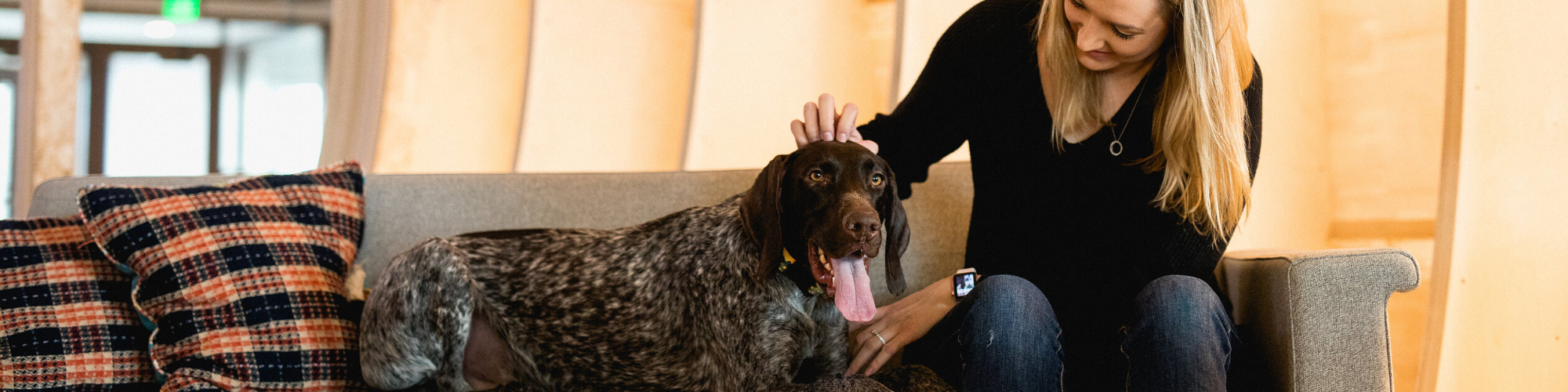 A woman with long blonde hair is sitting on a couch petting a large dog with a brown and white coat. The dog has its tongue out. There are plaid pillows on the couch. The background is softly lit with wooden panels.