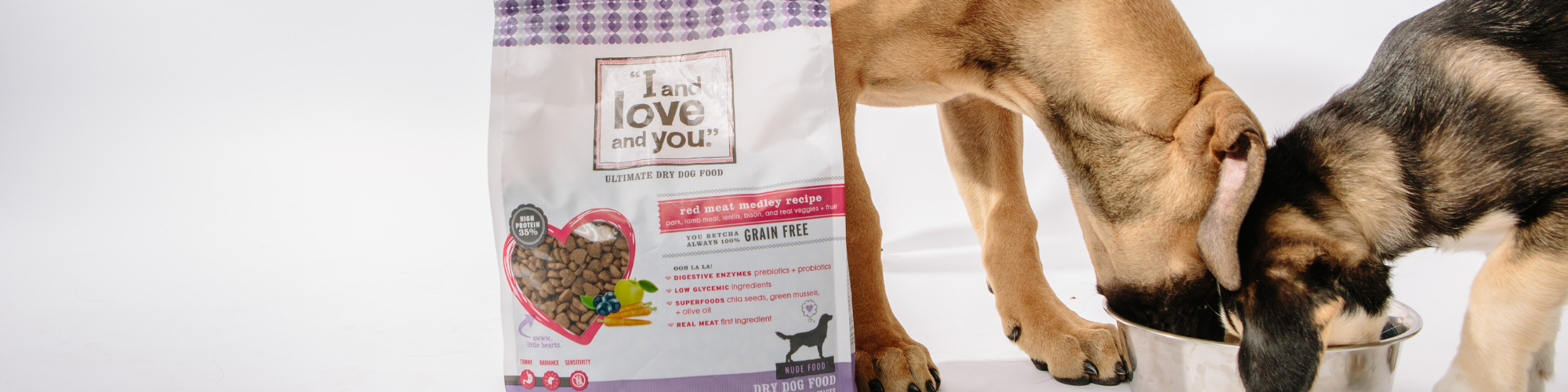 what dried fruit good for dogs