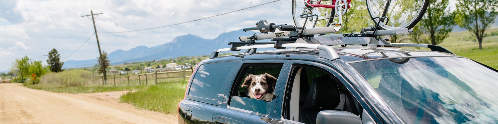 A happy dog sticks its head out of a car window, with a bicycle attached to the roof rack. The vehicle is traveling on a rural dirt road with a scenic mountain range and countryside in the background. The sky is partly cloudy.