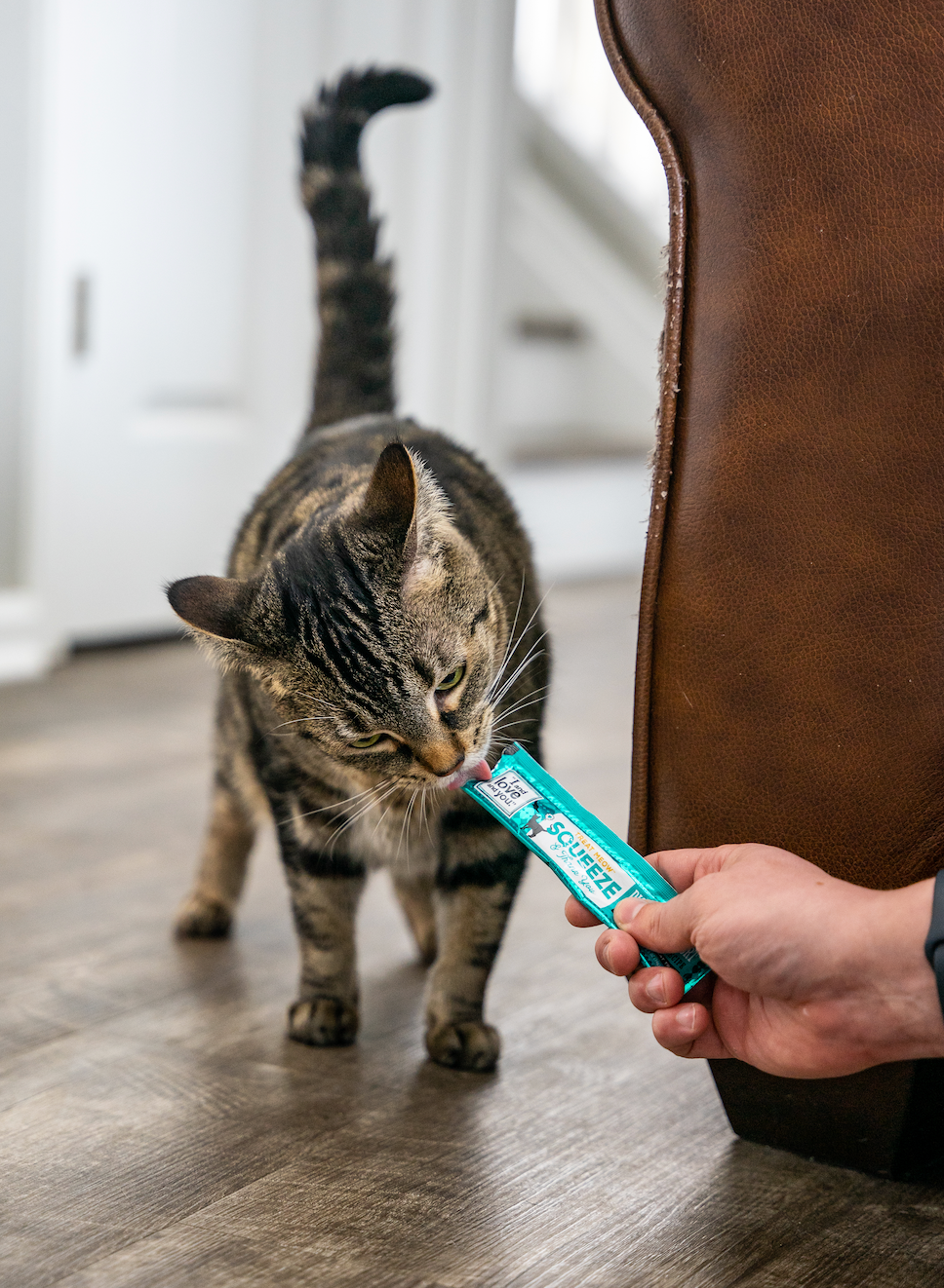 Cat tube treats deals