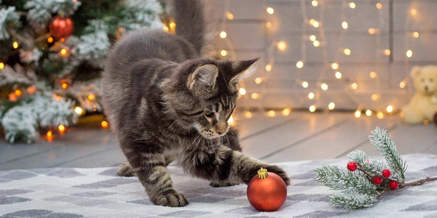 A cat playing with a Christmas ornament near a tree.