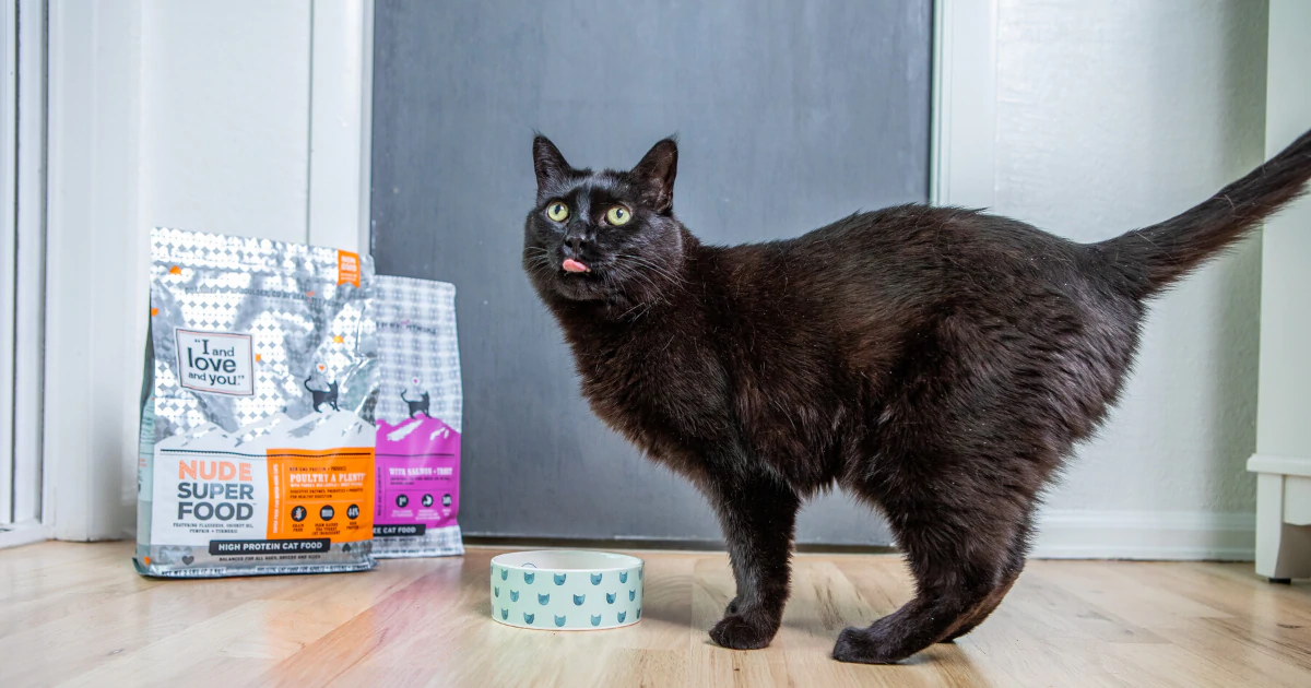 A black cat next to food bowl and bag of cat food.
