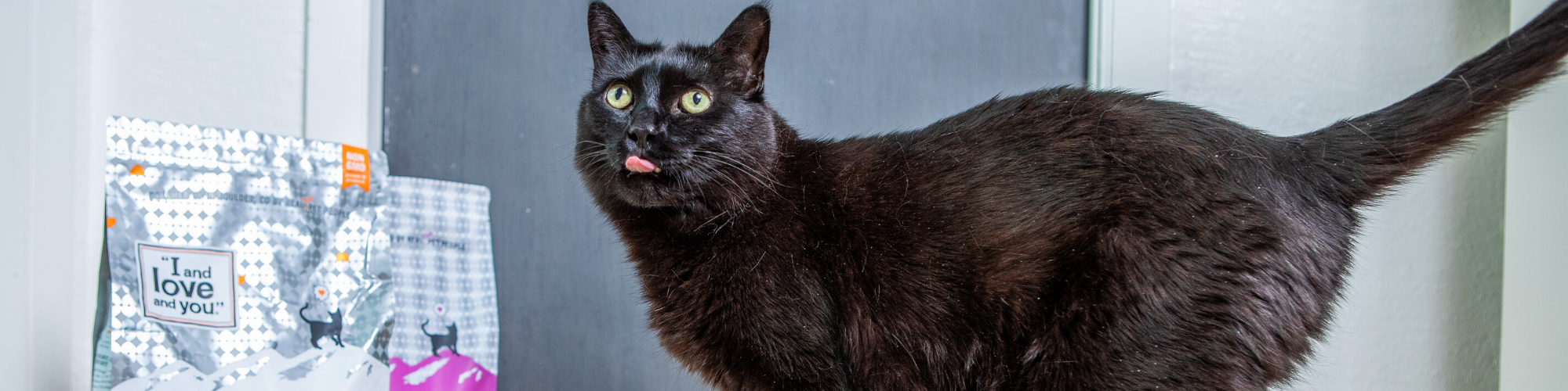 A black cat with green eyes is standing sideways on a counter, with its tongue sticking out. In the background, a white and silver bag with text that appears to read "I and love and you" is visible. The scene is well-lit with a neutral-toned background.