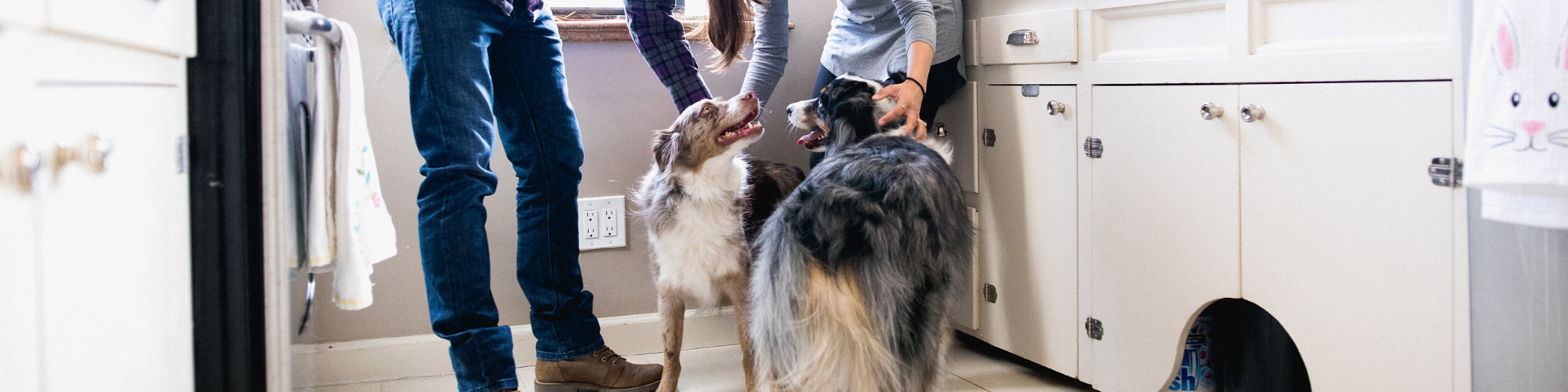 Two people stand in a kitchen petting two dogs. One person is wearing jeans, the other is partially visible. The kitchen has white cabinets, and there are window and floor tiles. The dogs appear happy, looking up at the people with their tongues out.