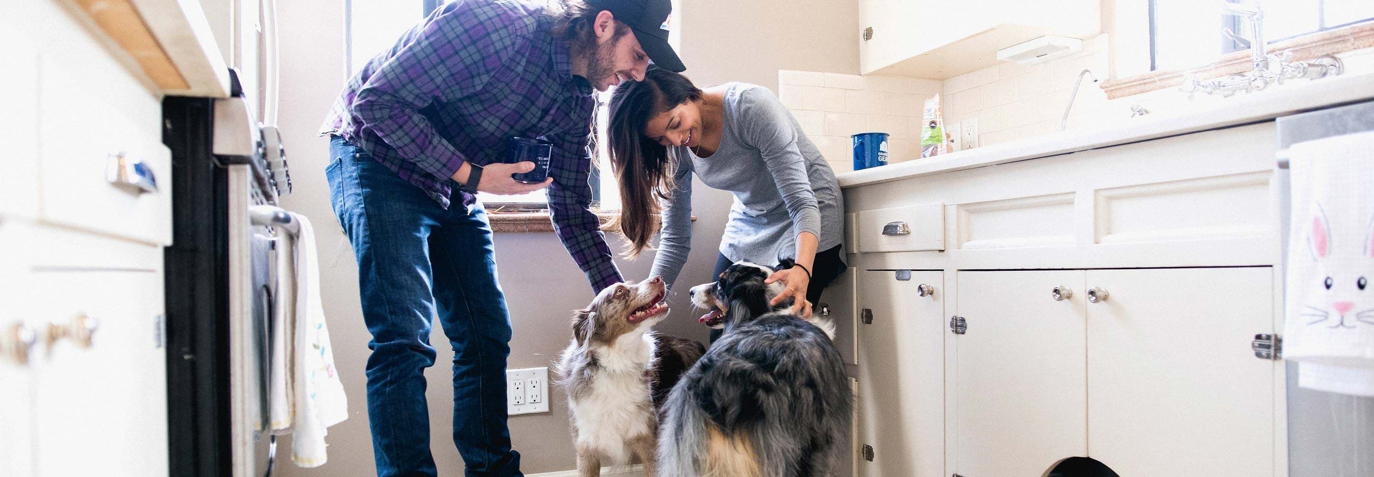 A man and a woman are standing in a kitchen interacting with three dogs. The man is wearing a plaid shirt and cap while the woman is wearing a gray long-sleeve shirt. The dogs are facing them, and the atmosphere appears friendly and engaging.