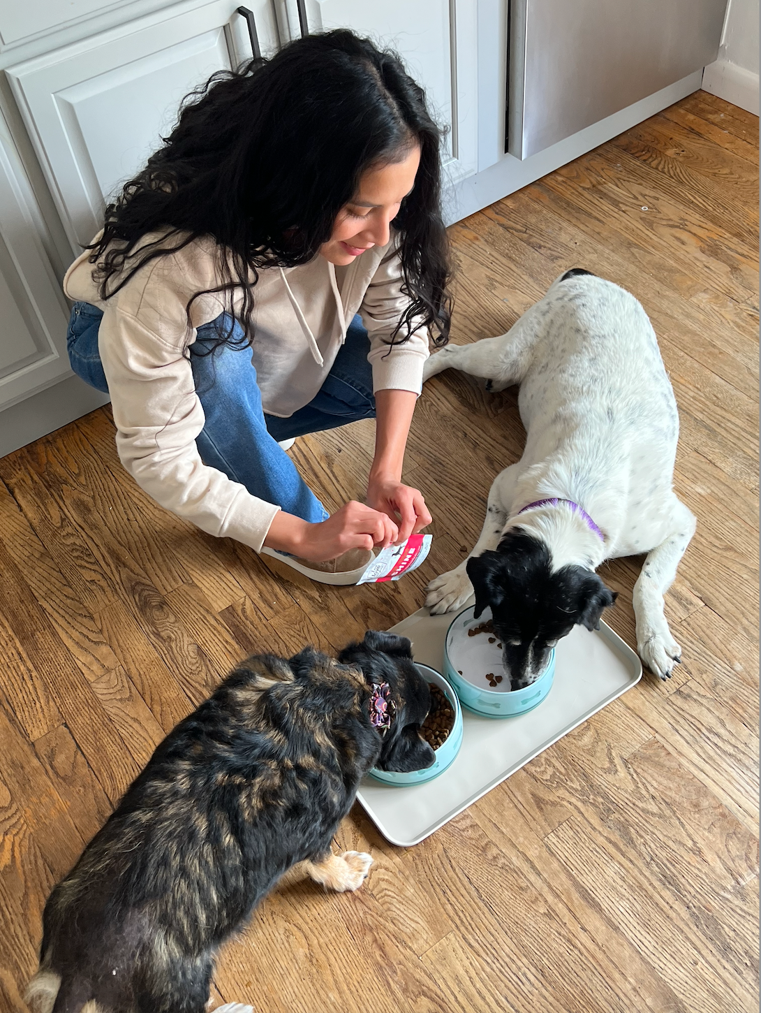 A woman feeding dogs from bowls, a dog lying down, and another dog eating from a bowl.
