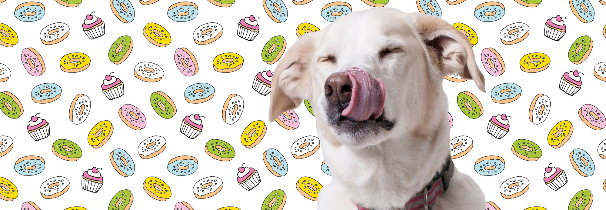 How to Make Dog Cupcakes: Dog Pupcake & Donut Recipes