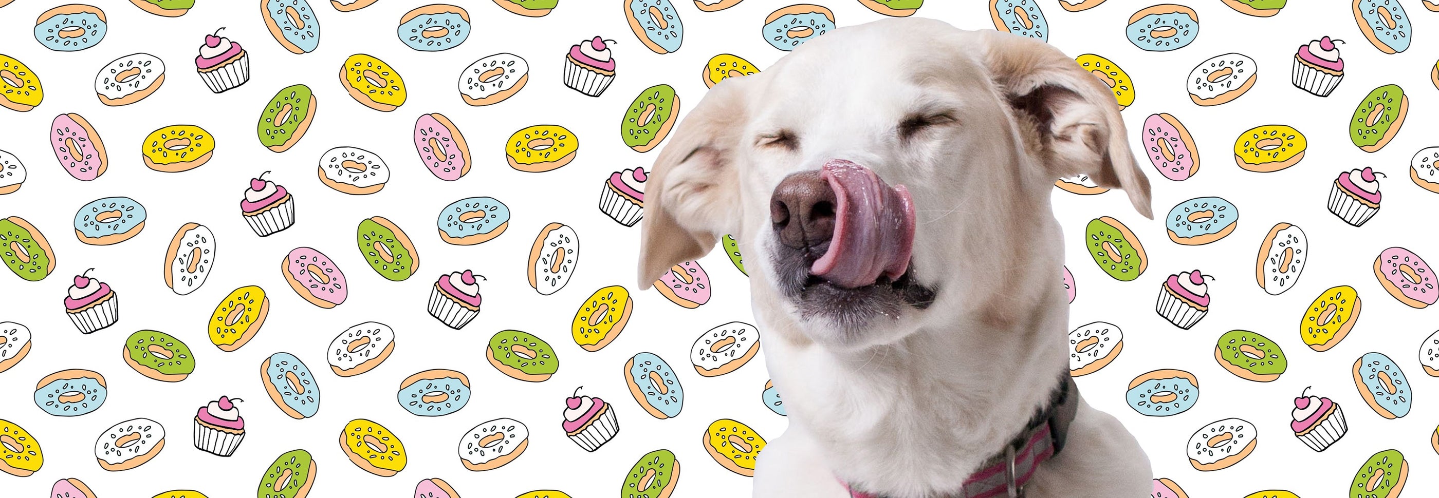 A white dog with a pink collar licks its nose with eyes closed, seemingly savoring something delicious. The background is a whimsical pattern of colorful donuts and cupcakes, adding a playful and fun atmosphere to the image.