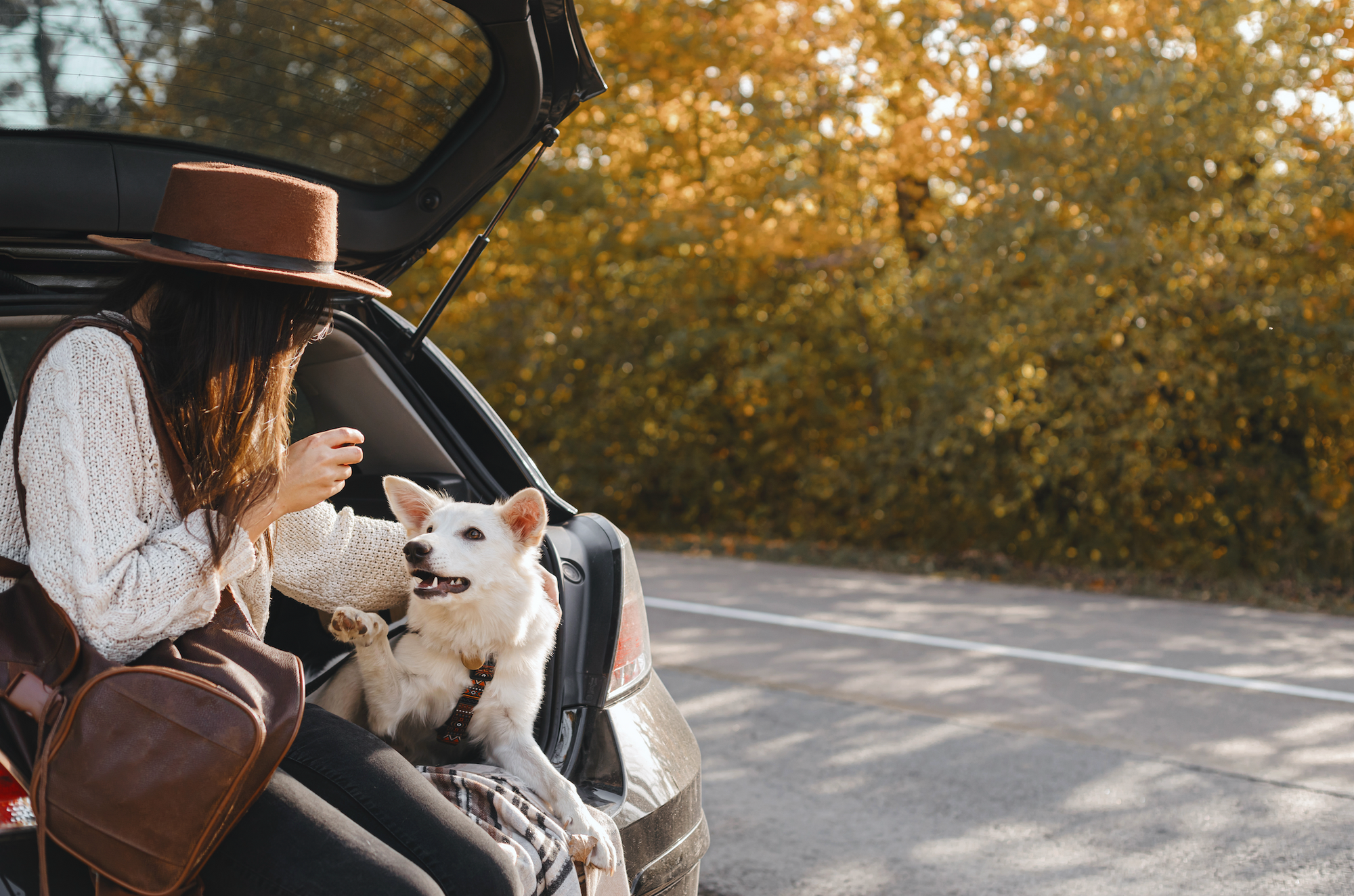Woman sitting in car with dog in trunk, outdoor scene with trees and road.