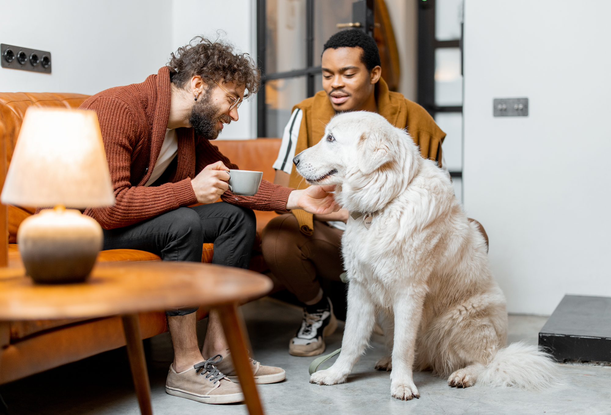 Men sitting on couch with dog, man holding coffee cup, dog on floor, lamp, person's legs, furry object.