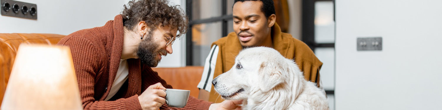 Men sitting on couch with dog, man holding coffee cup, dog on floor, lamp, person's legs, furry object.