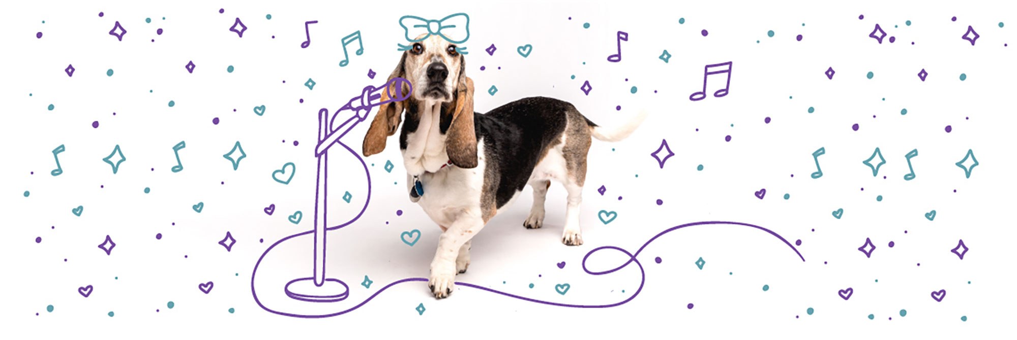 A basset hound stands on its hind legs, appearing to sing into a microphone. The background is illustrated with music notes, stars, and a bow drawn above the dog's head, giving a playful and musical theme.