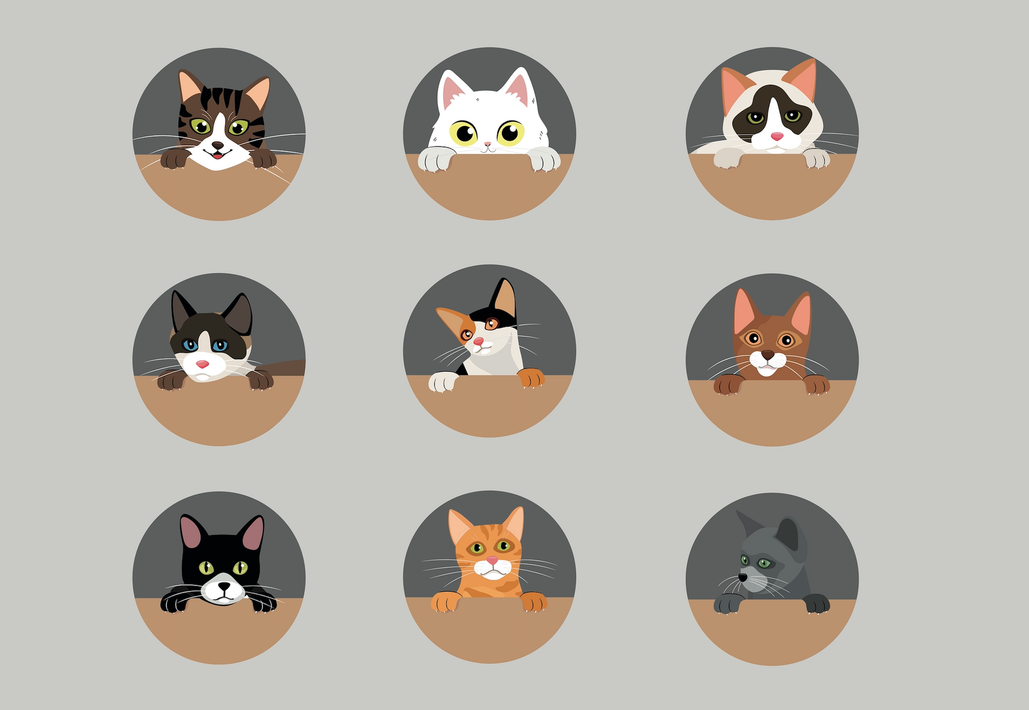 A group of cats in various poses and activities.