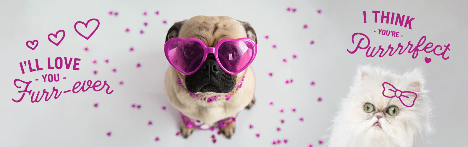 A pug wearing pink heart-shaped sunglasses and a pink beaded necklace sits beside a fluffy white cat with a pink bowtie, both surrounded by small pink heart petals. Text reads "I'LL LOVE YOU Furr-ever" and "I THINK YOU'RE Purrrrfect" in playful fonts.