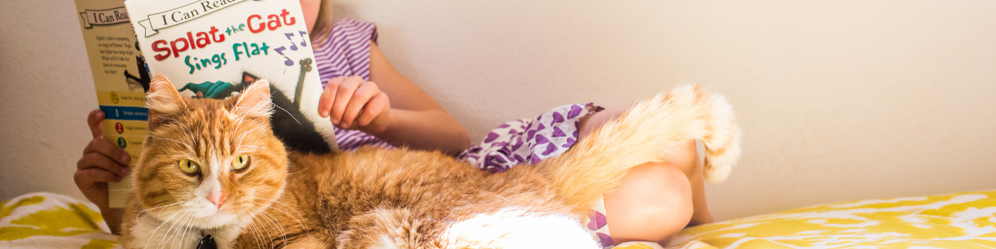 A child is lying on a bed, reading a book titled "Splat the Cat Sings Flat". A large, fluffy orange cat is resting on the child's legs, looking at the camera. Sunlight streams softly into the room, creating a warm and cozy atmosphere.