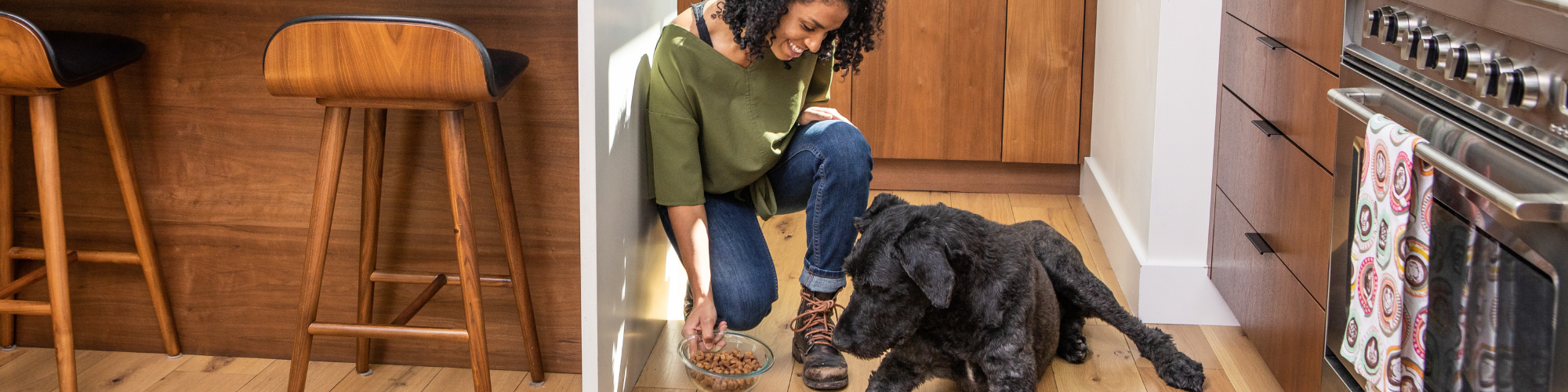 Why Should I Feed My Dog More Than Kibble: A Healthy Dog Diet