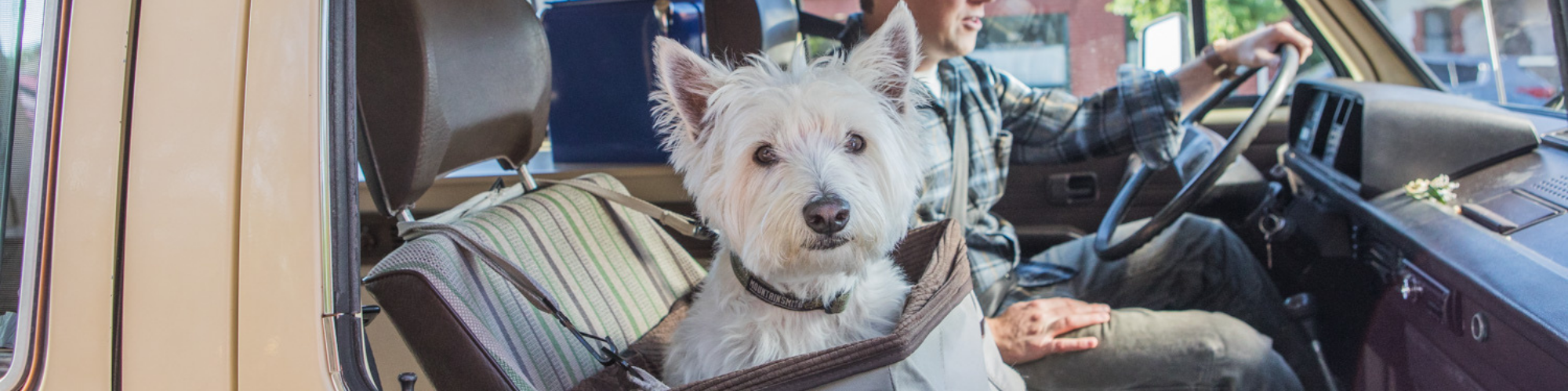 A small white dog is sitting in the front passenger seat of a car looking out of the window. The dog is secured in a pet car seat. A person wearing a plaid shirt is driving the car. Sunlight is streaming through the windows.