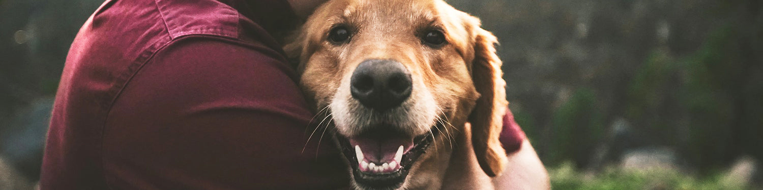 A young man hugs his golden retriever, who smiles at the camera.