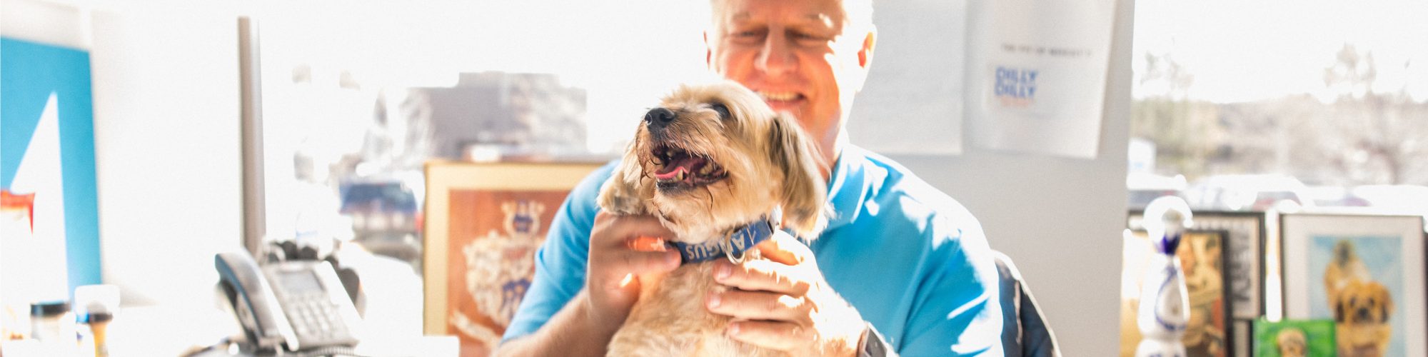 A smiling person in a bright blue shirt holds a happy, small dog wearing a blue collar in an office. The office wall has posters, a phone, and a window letting in natural light, creating a cheerful atmosphere.