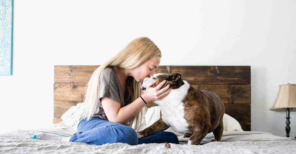 NAKED ESSENTIALS FEATURED ON PET LIFE TODAY'S BEST HOLISTIC DOG FOODS 2020