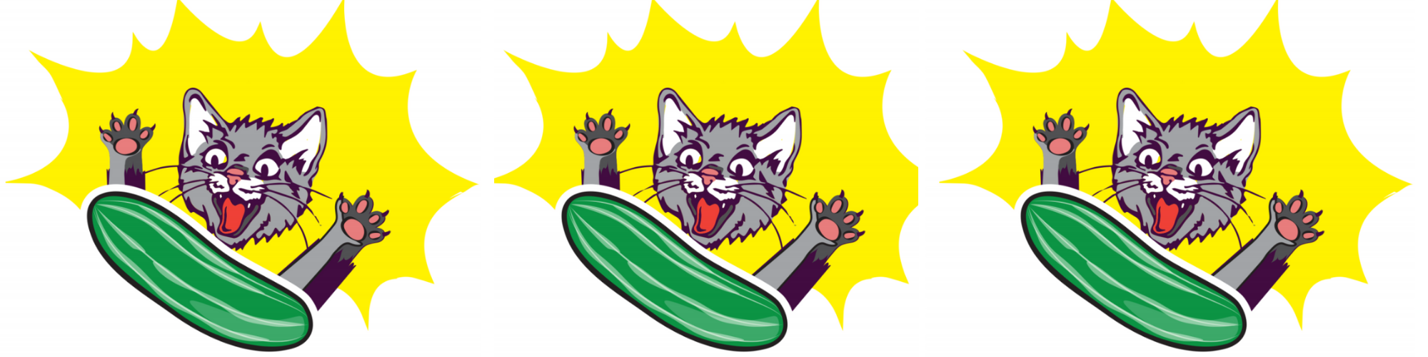 Cat Behaviors: Why Are Cats Afraid of Cucumbers?