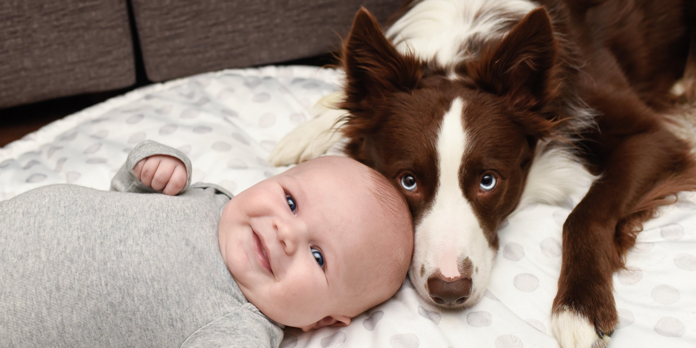 A baby lying next to a dog on a blanket.