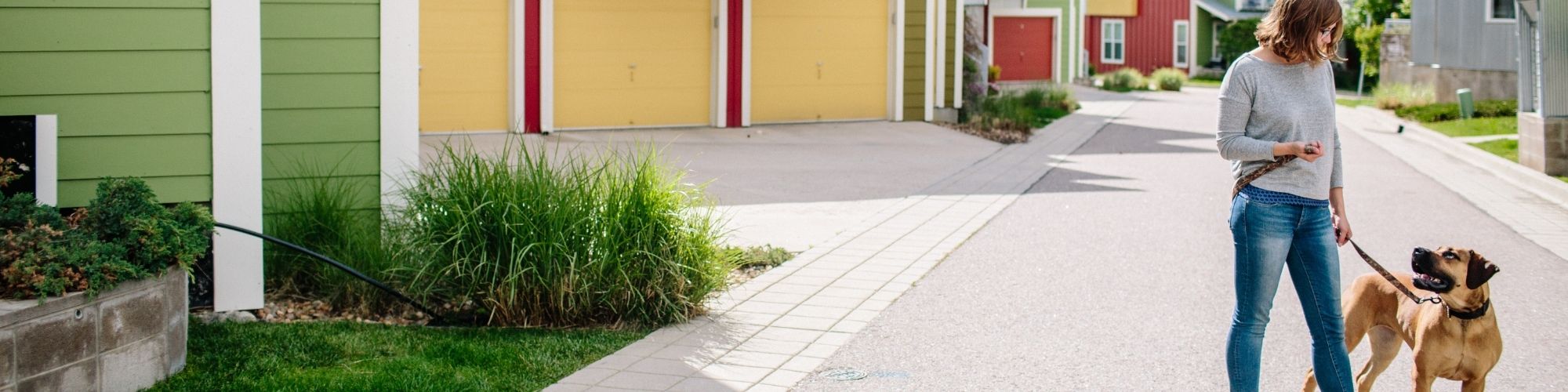 A person wearing a gray sweater and jeans walks a large brown dog on a leash along a street with colorful houses. The person and dog are on a sidewalk; the background includes green plants and multi-colored garage doors. The scene is bright and sunny.