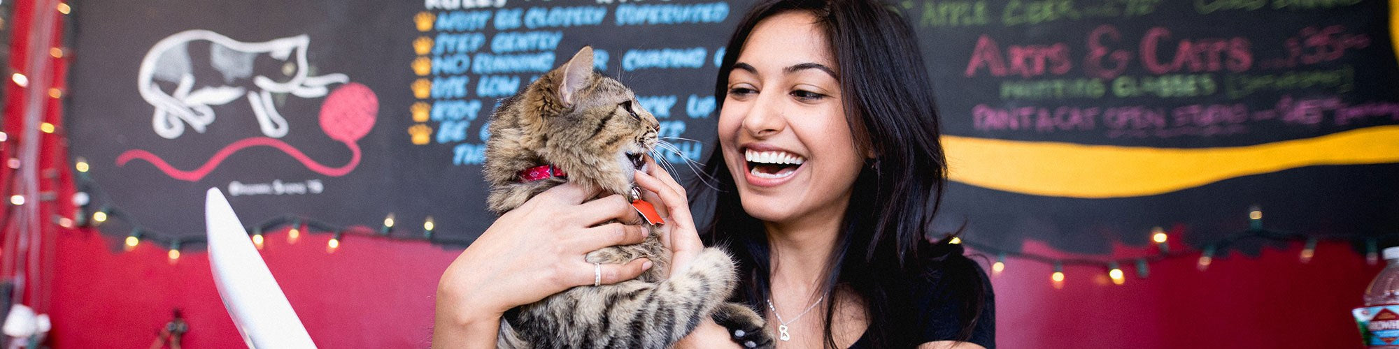 A woman smiles broadly while holding a fluffy kitten with a red collar. Behind them is a colorful, softly out-of-focus wall with chalkboard drawings and text, along with string lights adding a festive atmosphere.