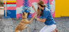 A smiling woman in a sunhat gently holds her dog’s paw in a high-five gesture over a gravel path, set against a vibrant colorful backdrop, promoting a joyful bond ideal for pet food enthusiasts.