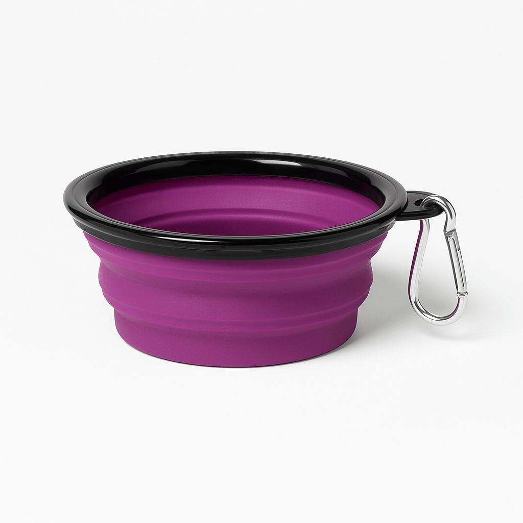 Collapsible Dog Bowl