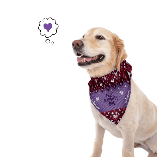 A dog wearing the Feliz Naughty Dog Bandana, perfect for holiday fun and ugly sweater parties.