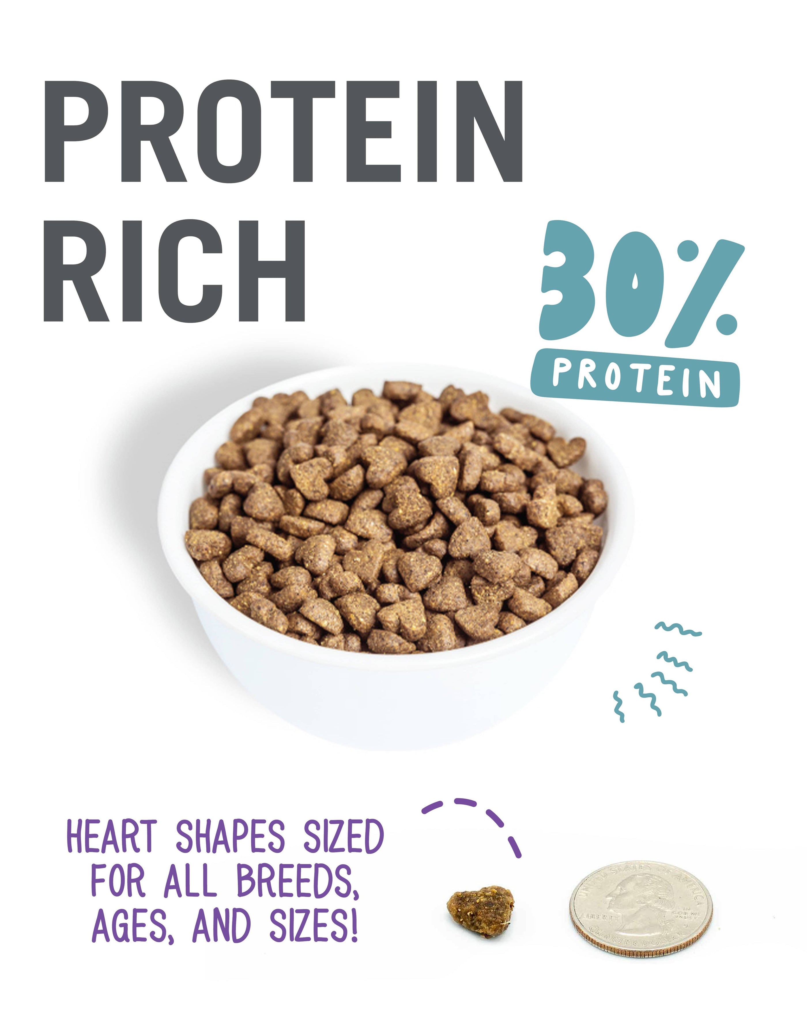 Lovingly Simple - Whitefish + Sweet Potato: A bowl of dry cat food and a close-up of a coin.