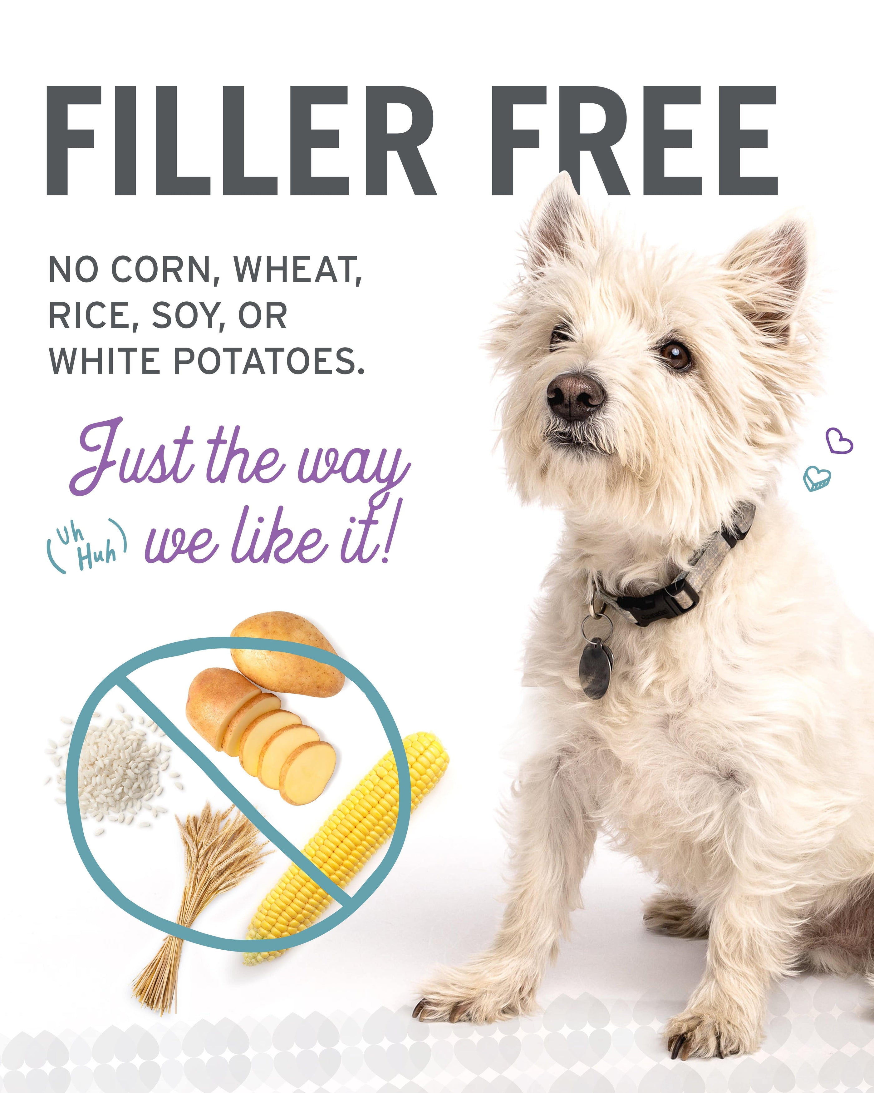 A white dog with a collar sitting next to a poster, a corn, potato slices, and a sign, a close-up of a dog's collar, a potato with a blue stripe, and a sign.